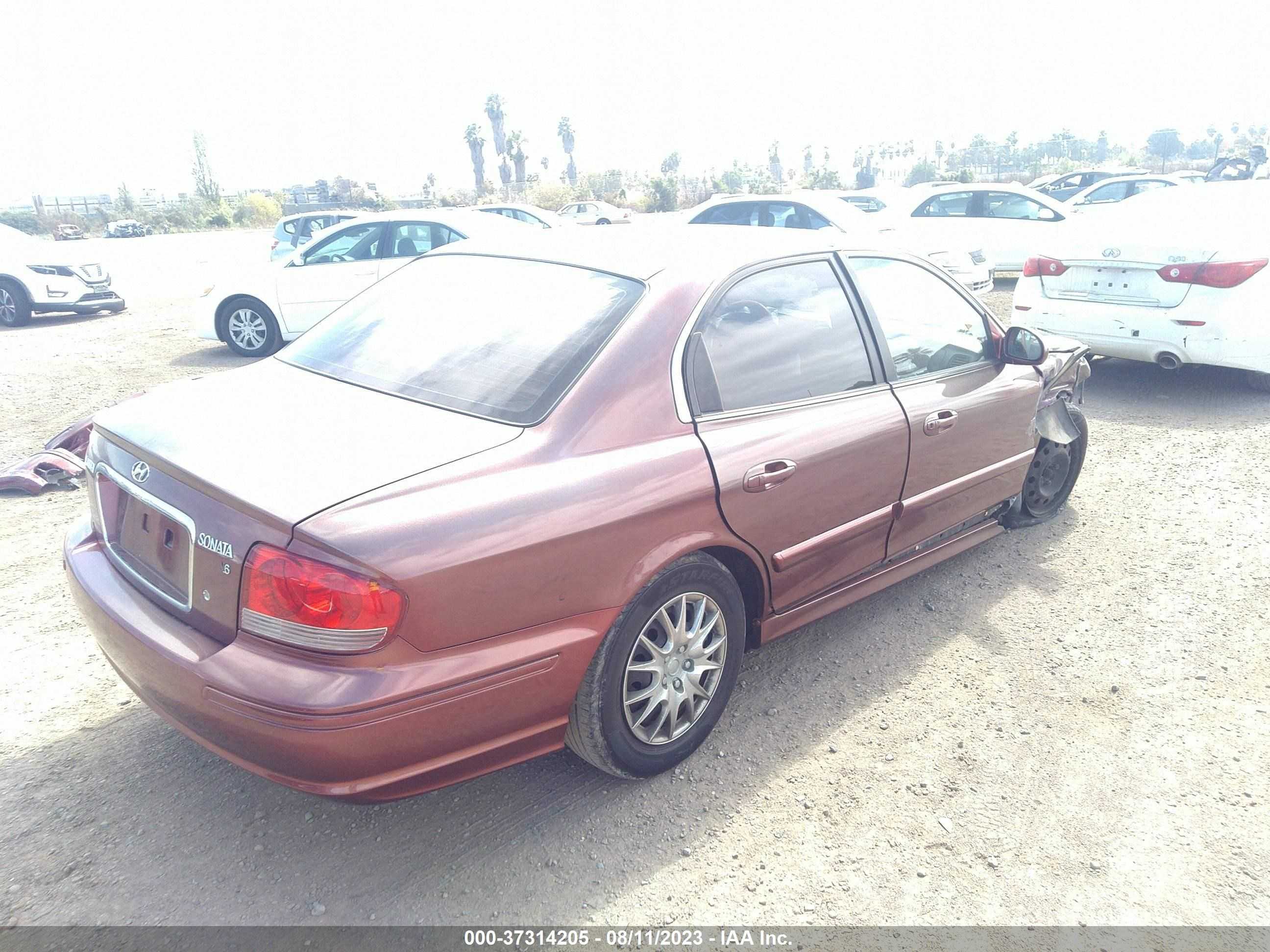 Photo 3 VIN: KMHWF25H85A151815 - HYUNDAI SONATA 