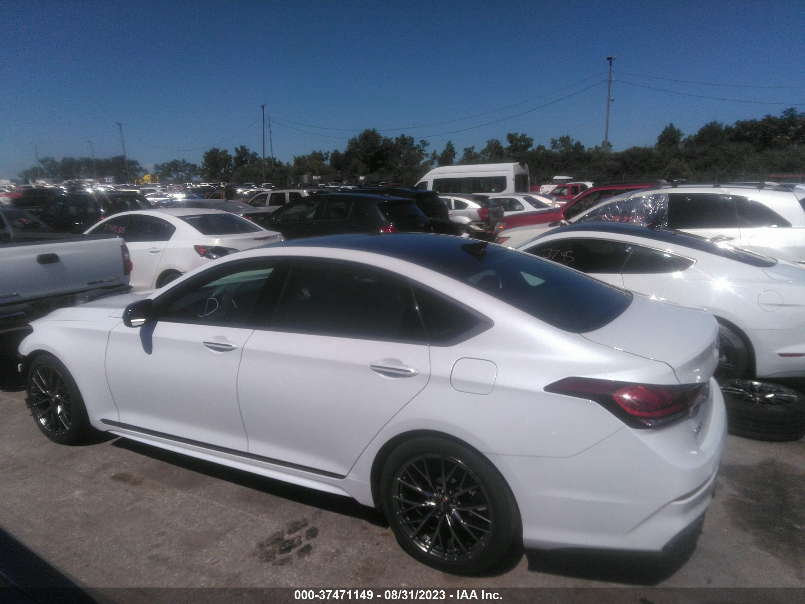 Photo 14 VIN: KMTFN4JB0KU320449 - GENESIS G80 