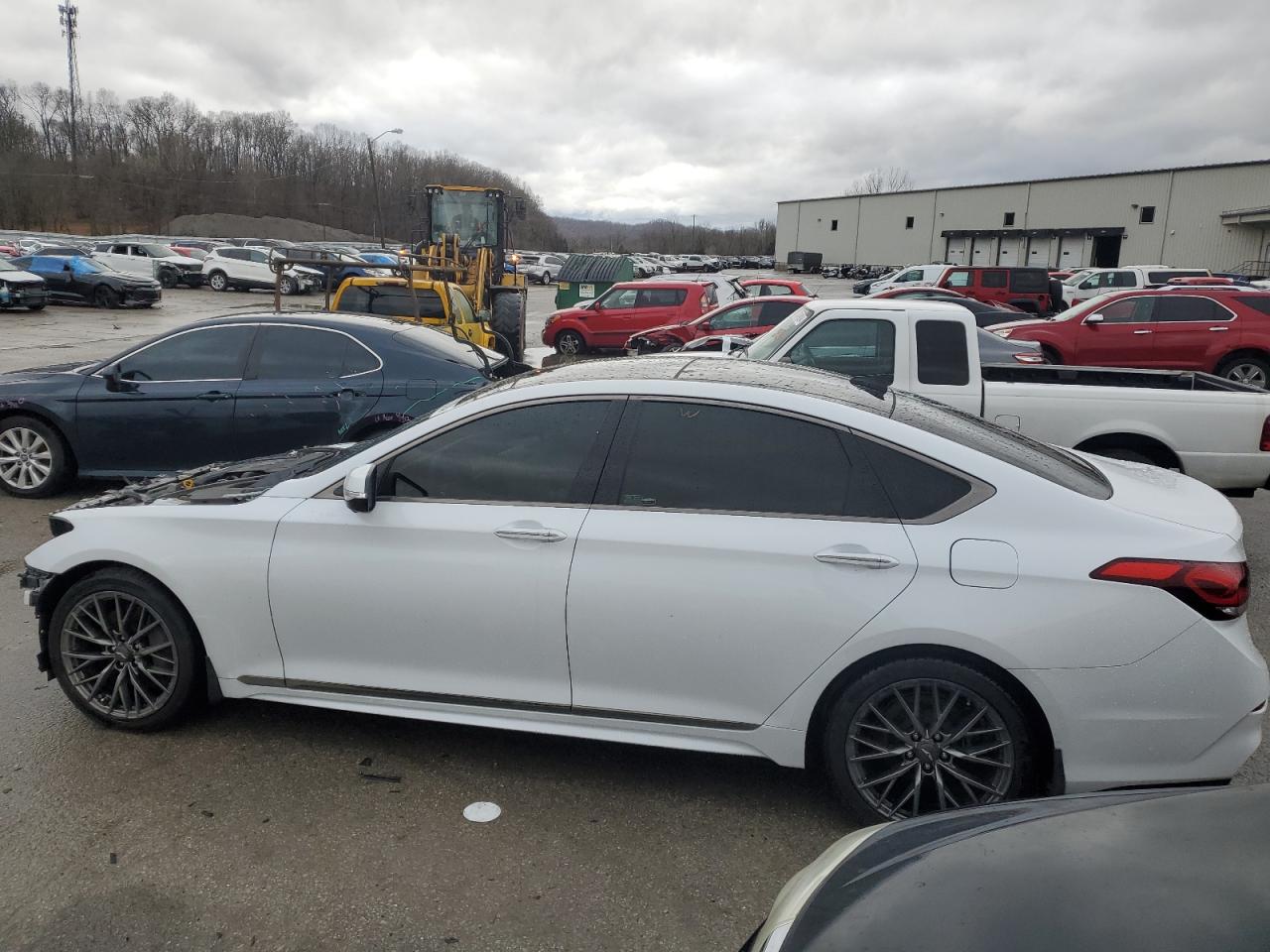 Photo 1 VIN: KMTFN4JE9KU309993 - GENESIS G80 