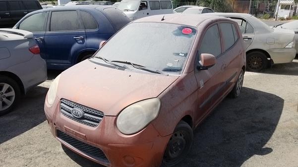 Photo 3 VIN: KNABA24399T659144 - KIA PICANTO 