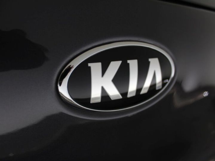 Photo 14 VIN: KNACC81CGJ5169760 - KIA NIRO 