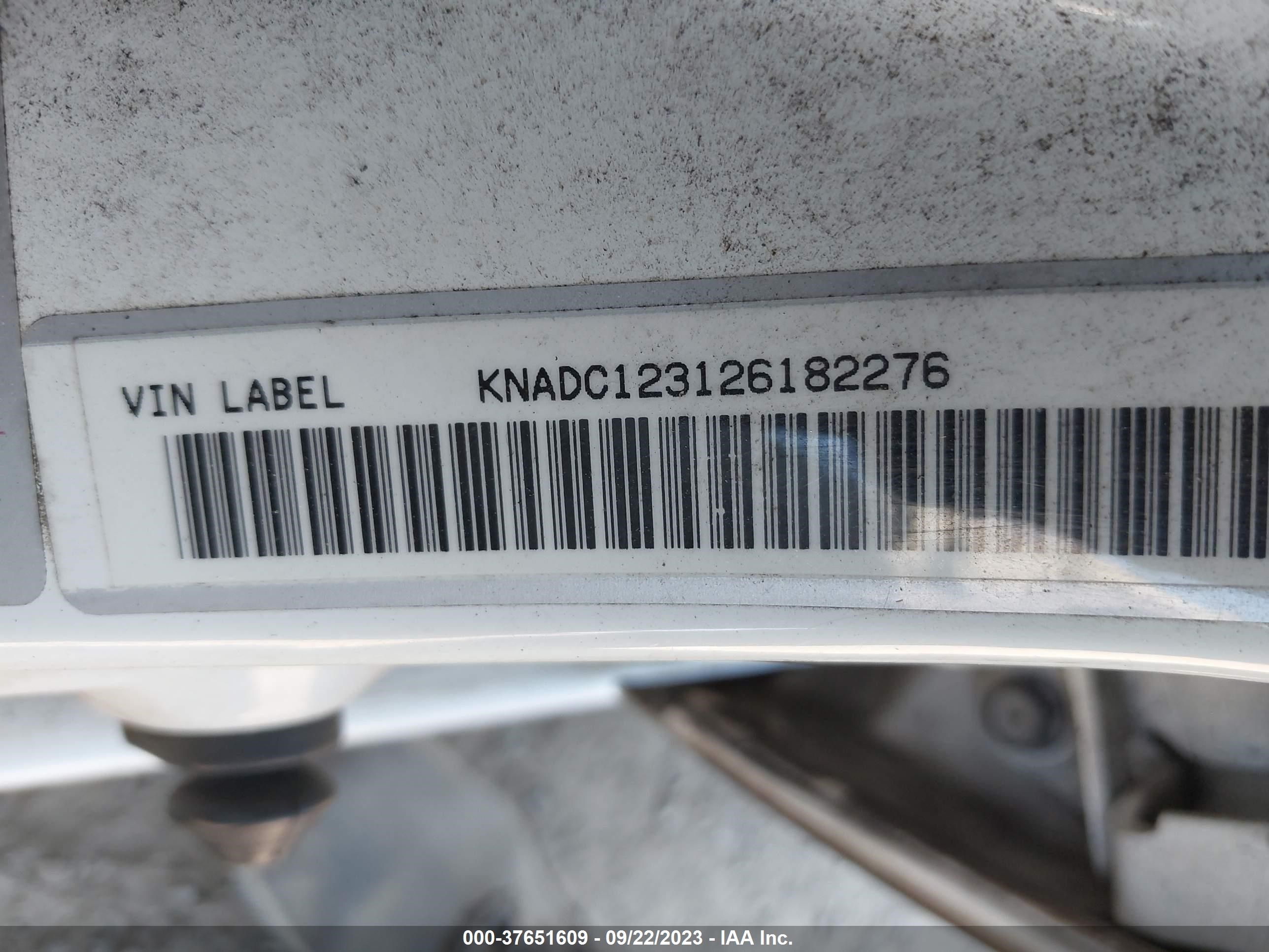 Photo 8 VIN: KNADC123126182276 - KIA RIO 