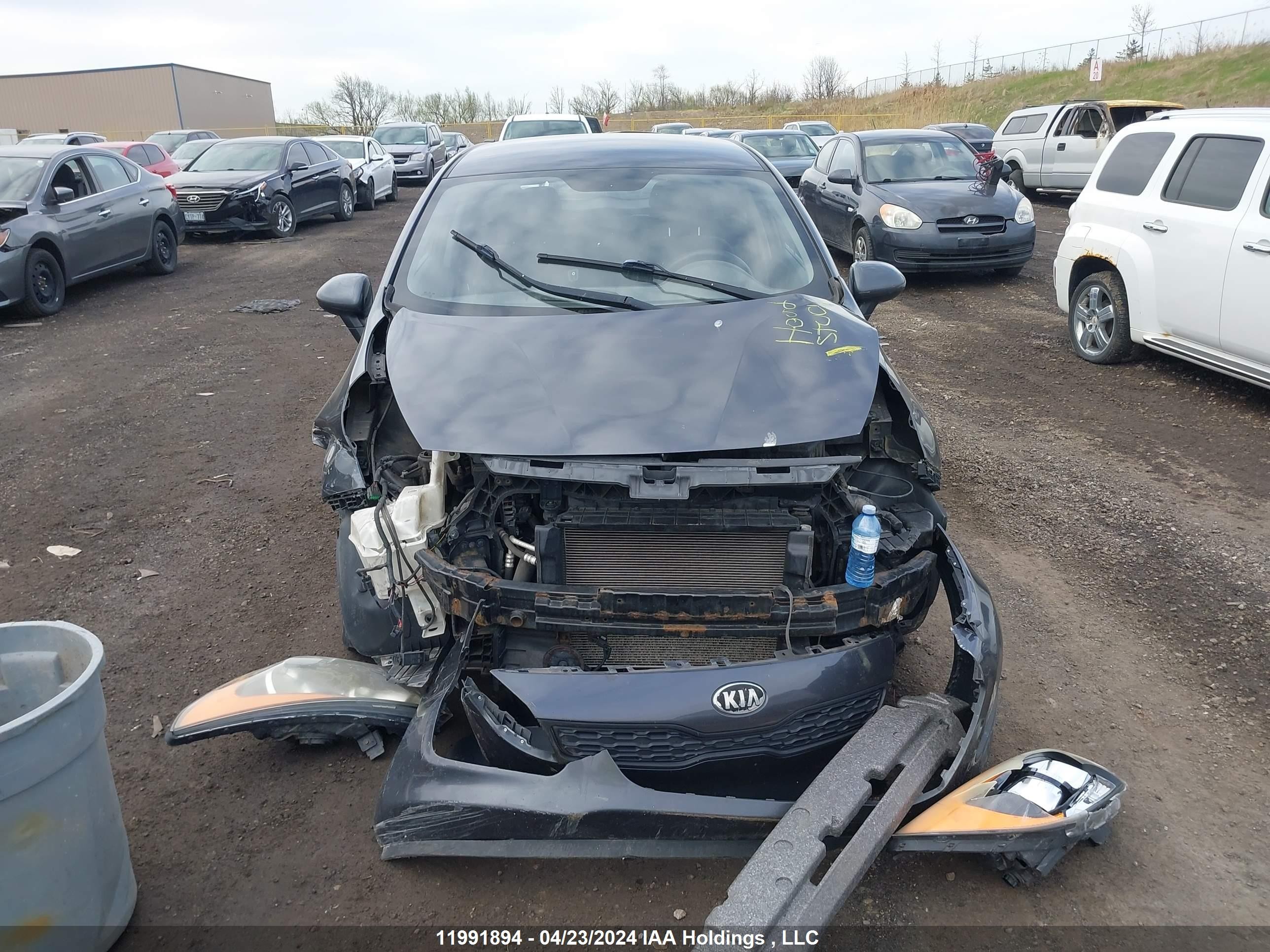 Photo 12 VIN: KNADM5A33D6874225 - KIA RIO 