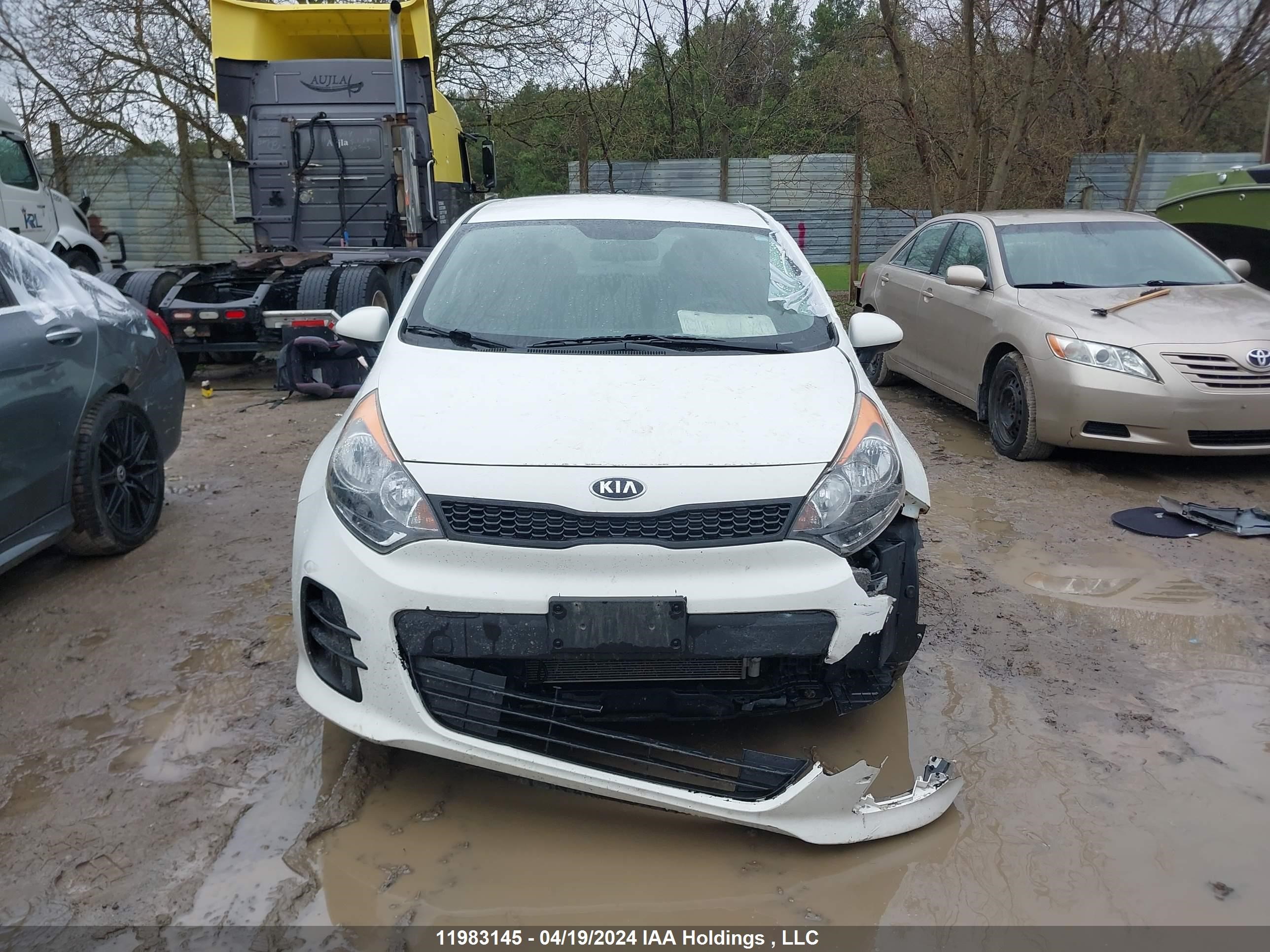 Photo 12 VIN: KNADM5A33H6021300 - KIA RIO 