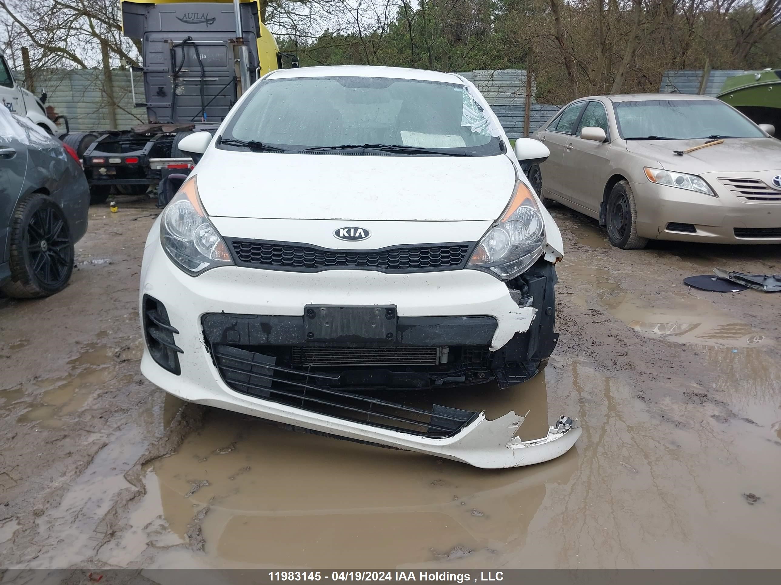 Photo 5 VIN: KNADM5A33H6021300 - KIA RIO 