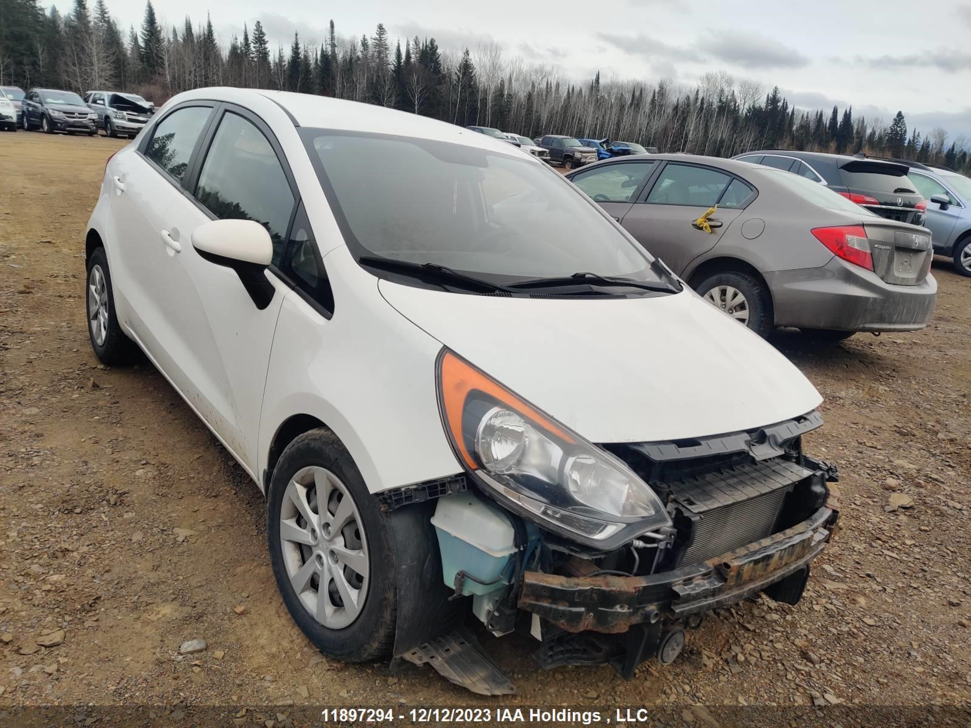 Photo 0 VIN: KNADM5A36E6956340 - KIA RIO 