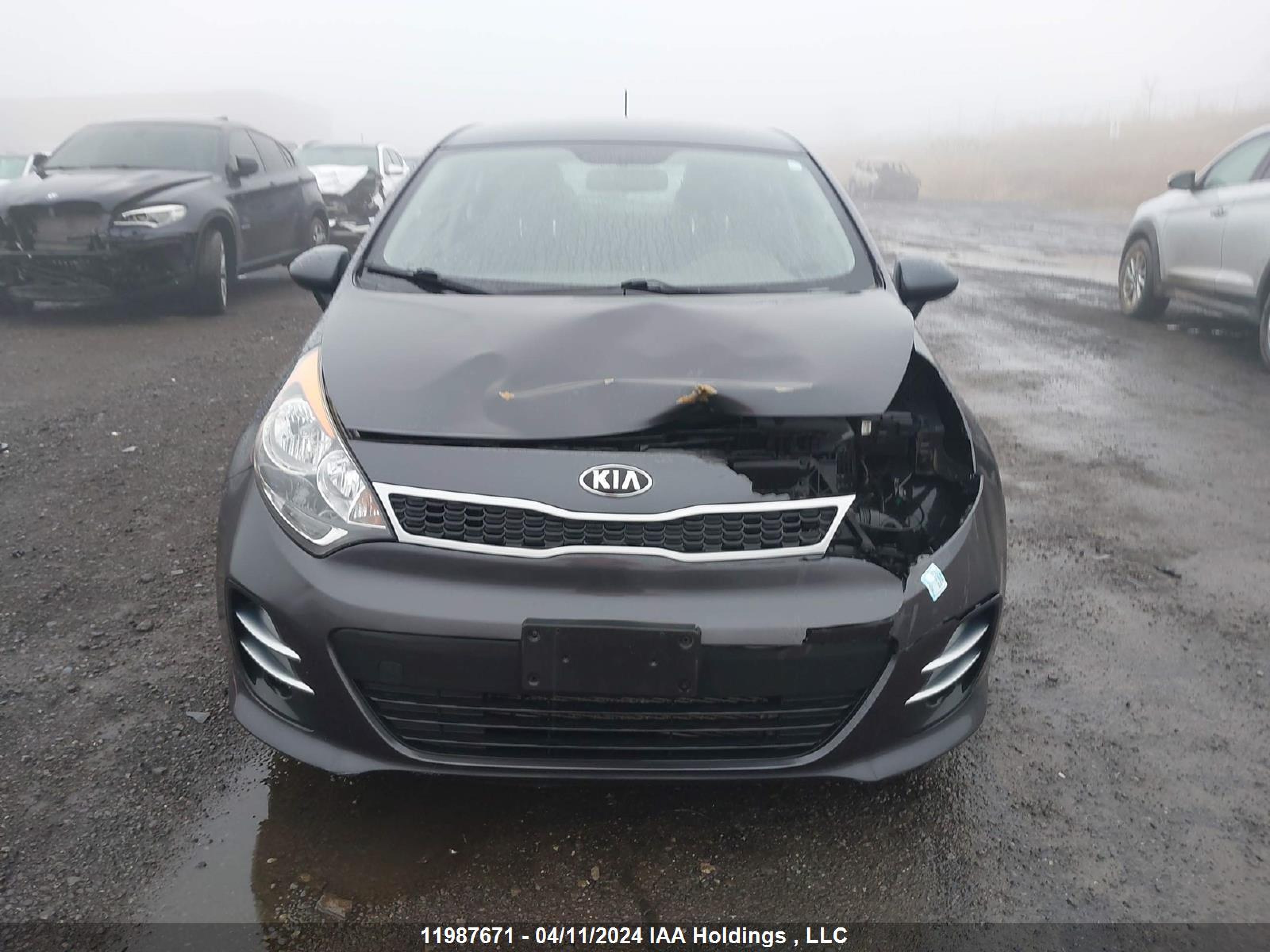 Photo 11 VIN: KNADN5A35G6781062 - KIA RIO 