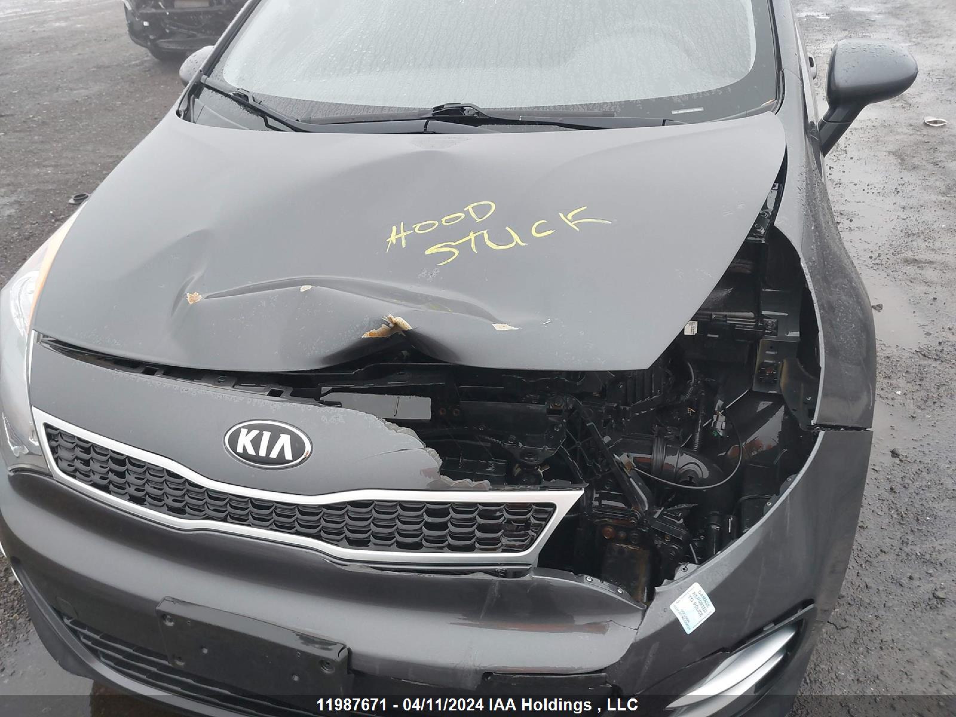 Photo 9 VIN: KNADN5A35G6781062 - KIA RIO 