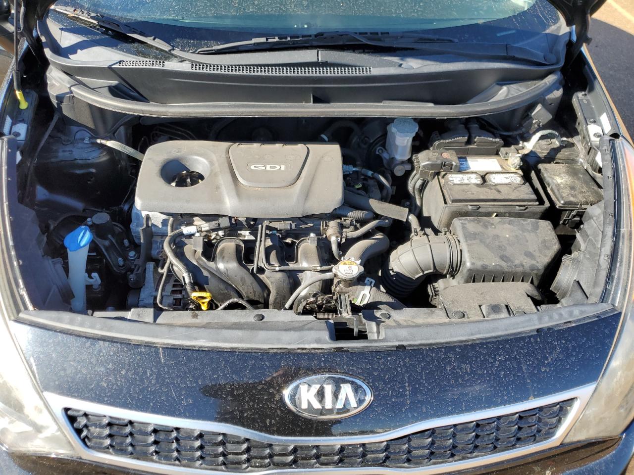 Photo 10 VIN: KNADN5A37G6633396 - KIA RIO 