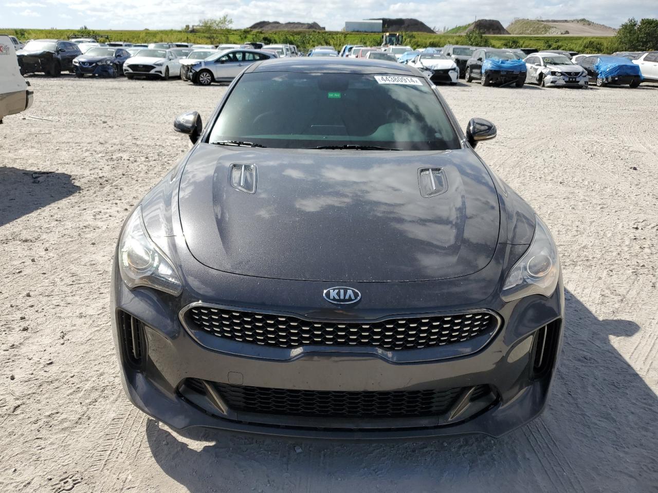 Photo 4 VIN: KNAE15LA0L6084159 - KIA STINGER 