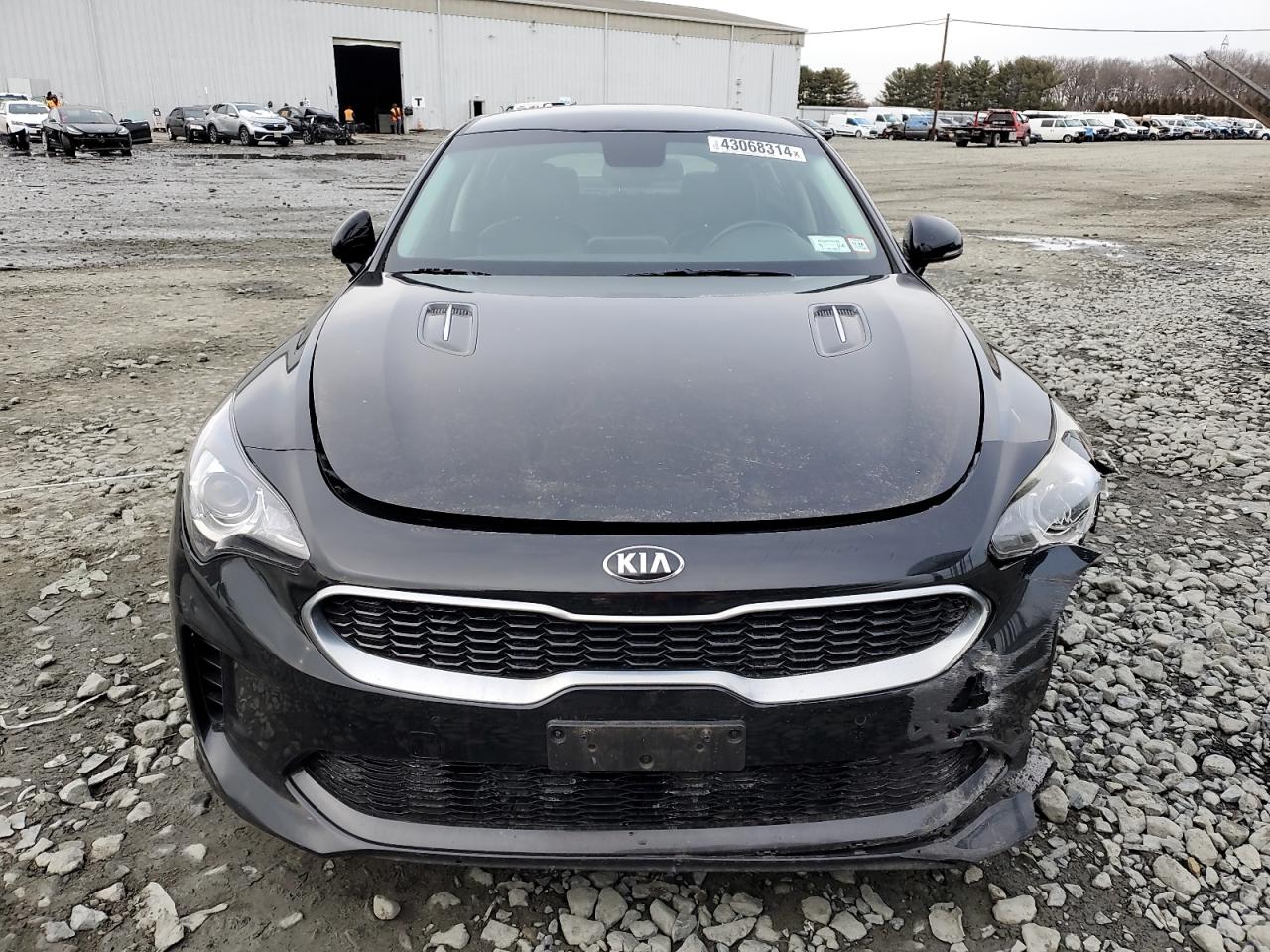 Photo 4 VIN: KNAE15LA2J6017351 - KIA STINGER 