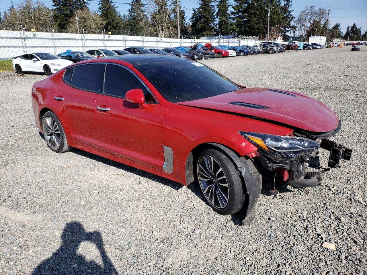 Photo 3 VIN: KNAE15LA7K6062657 - KIA STINGER 