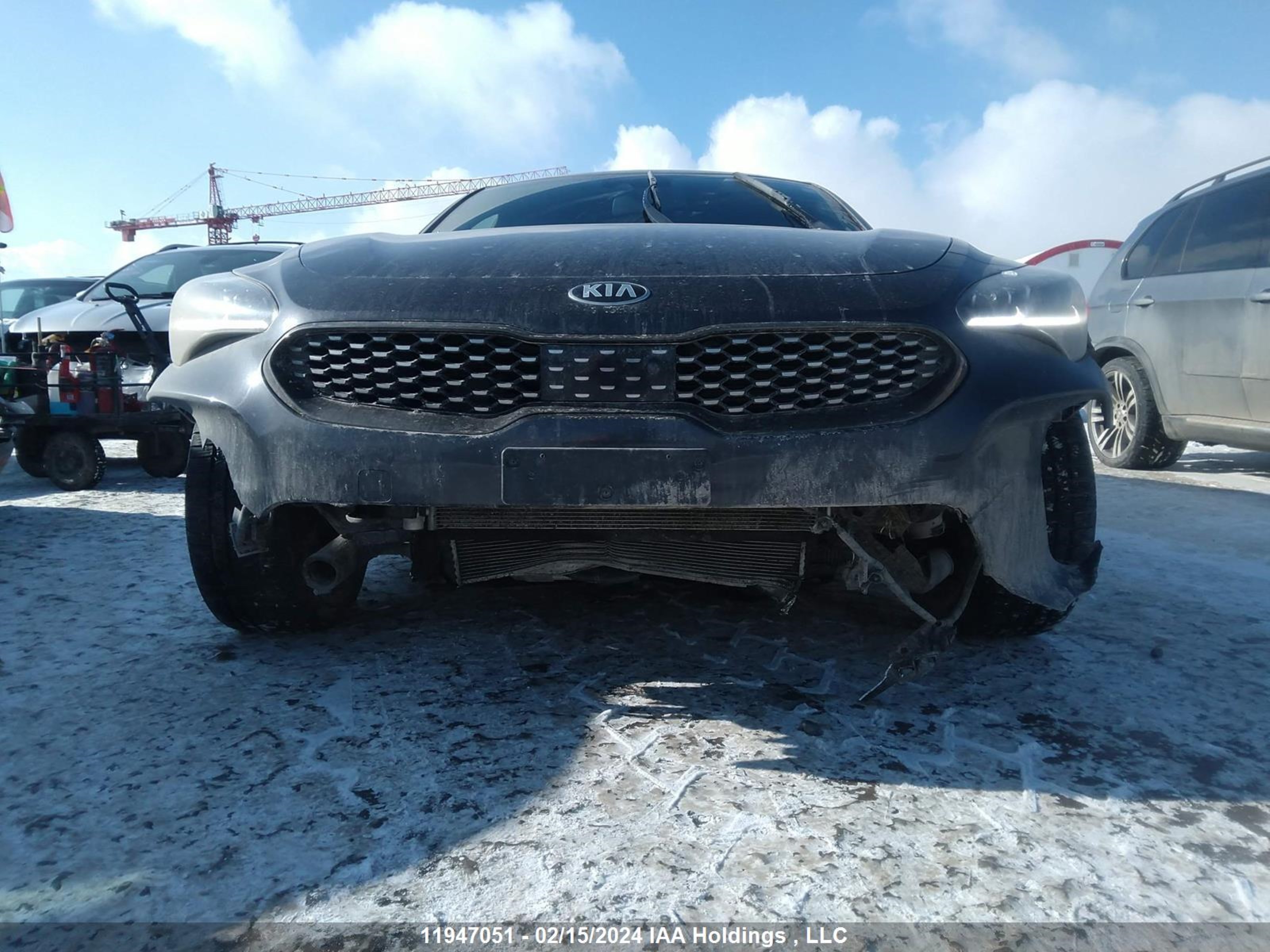 Photo 5 VIN: KNAE55LC5J6038037 - KIA STINGER 