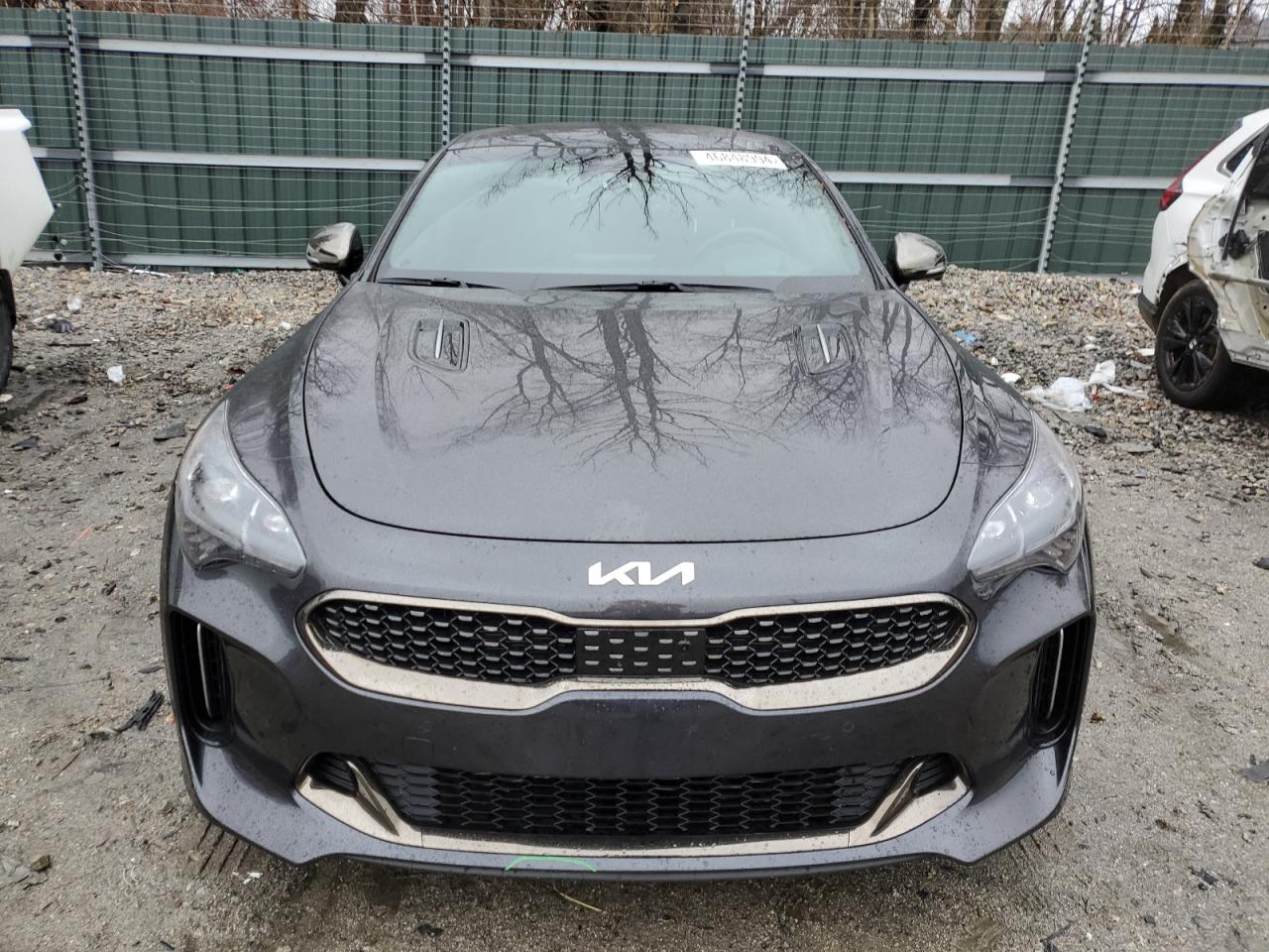 Photo 4 VIN: KNAE55LCXP6135596 - KIA STINGER 