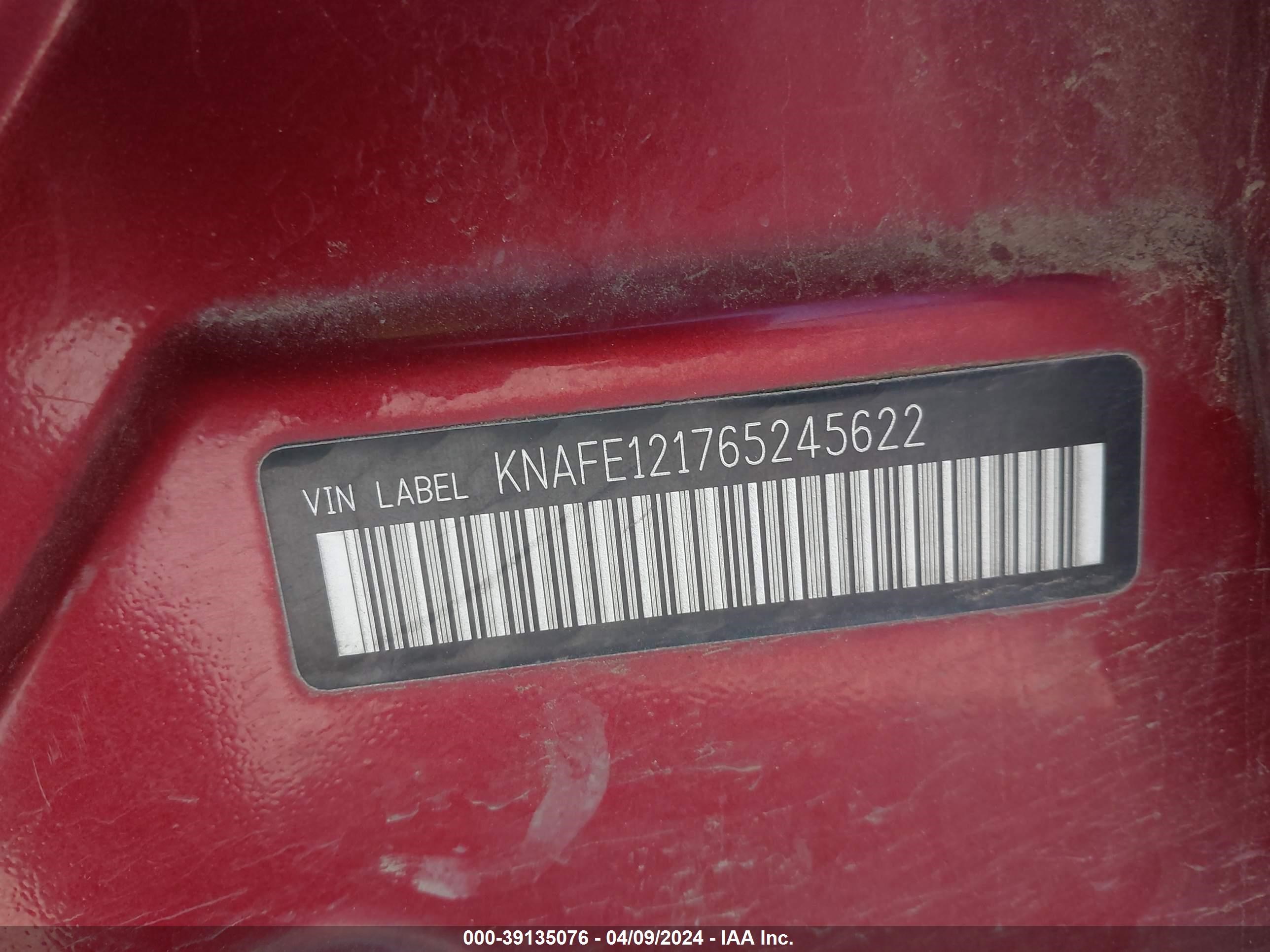 Photo 8 VIN: KNAFE121765245622 - KIA SPECTRA 