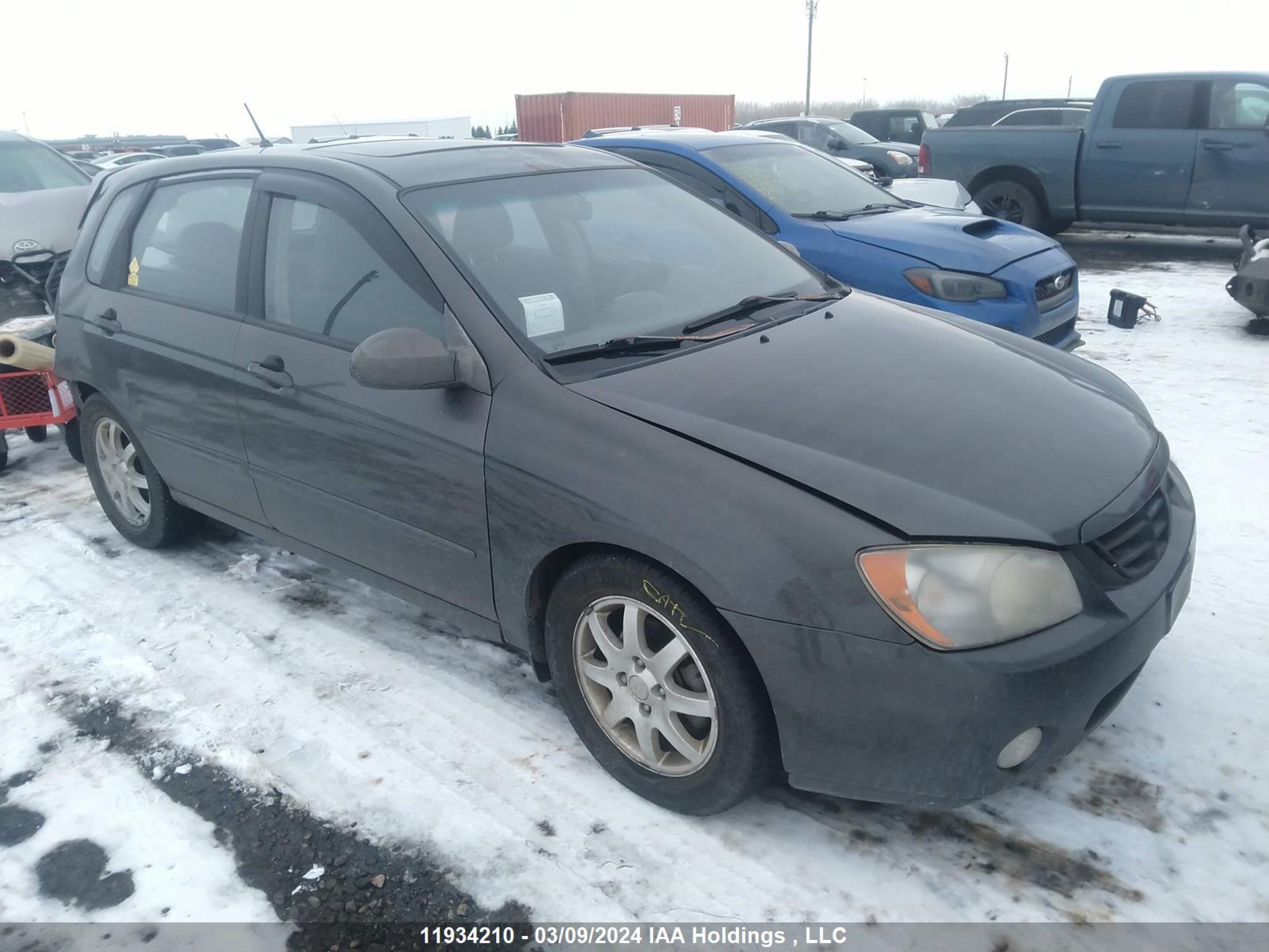 Photo 0 VIN: KNAFE161365281706 - KIA SPECTRA 