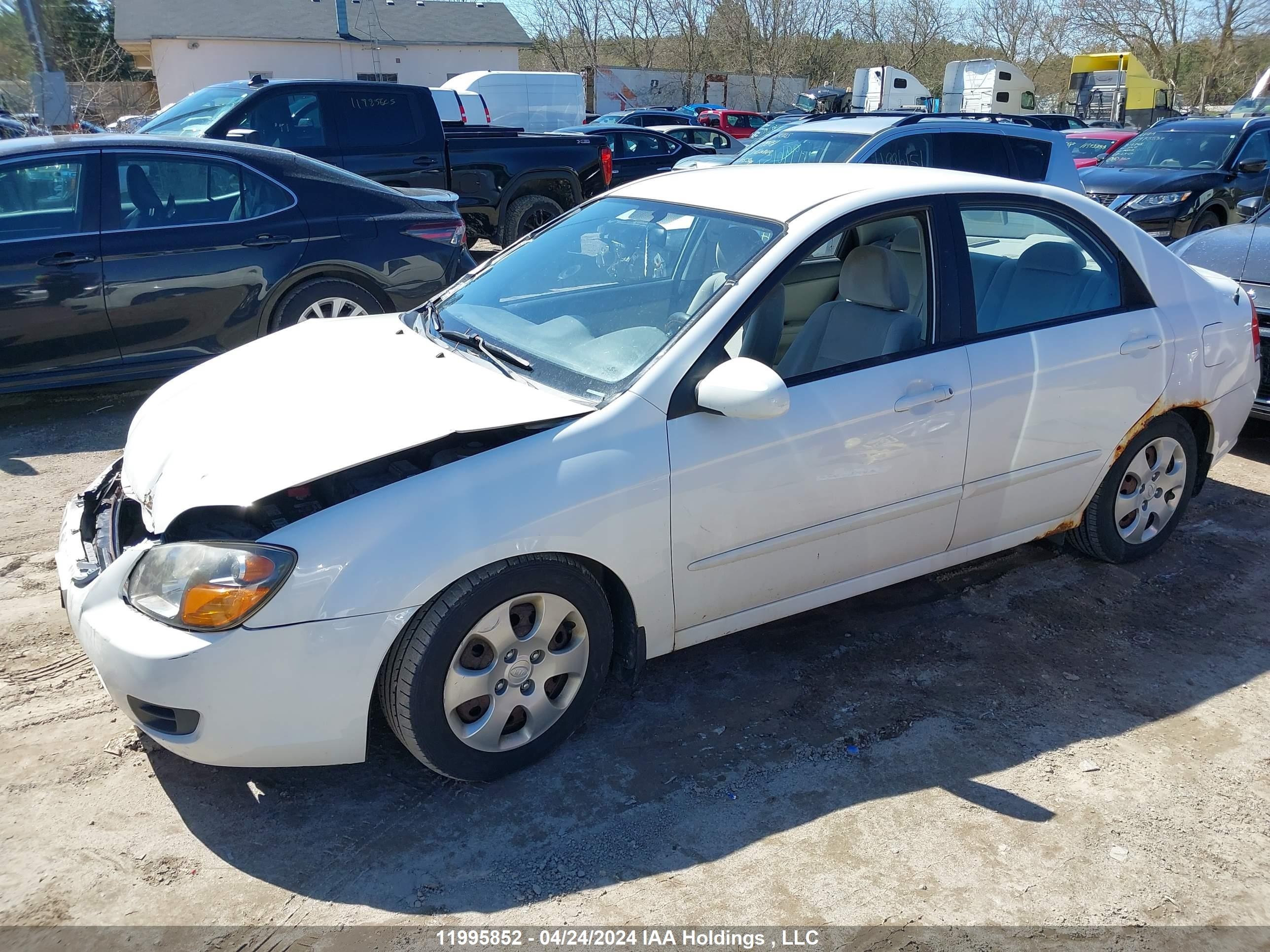 Photo 1 VIN: KNAFE221295639409 - KIA SPECTRA 