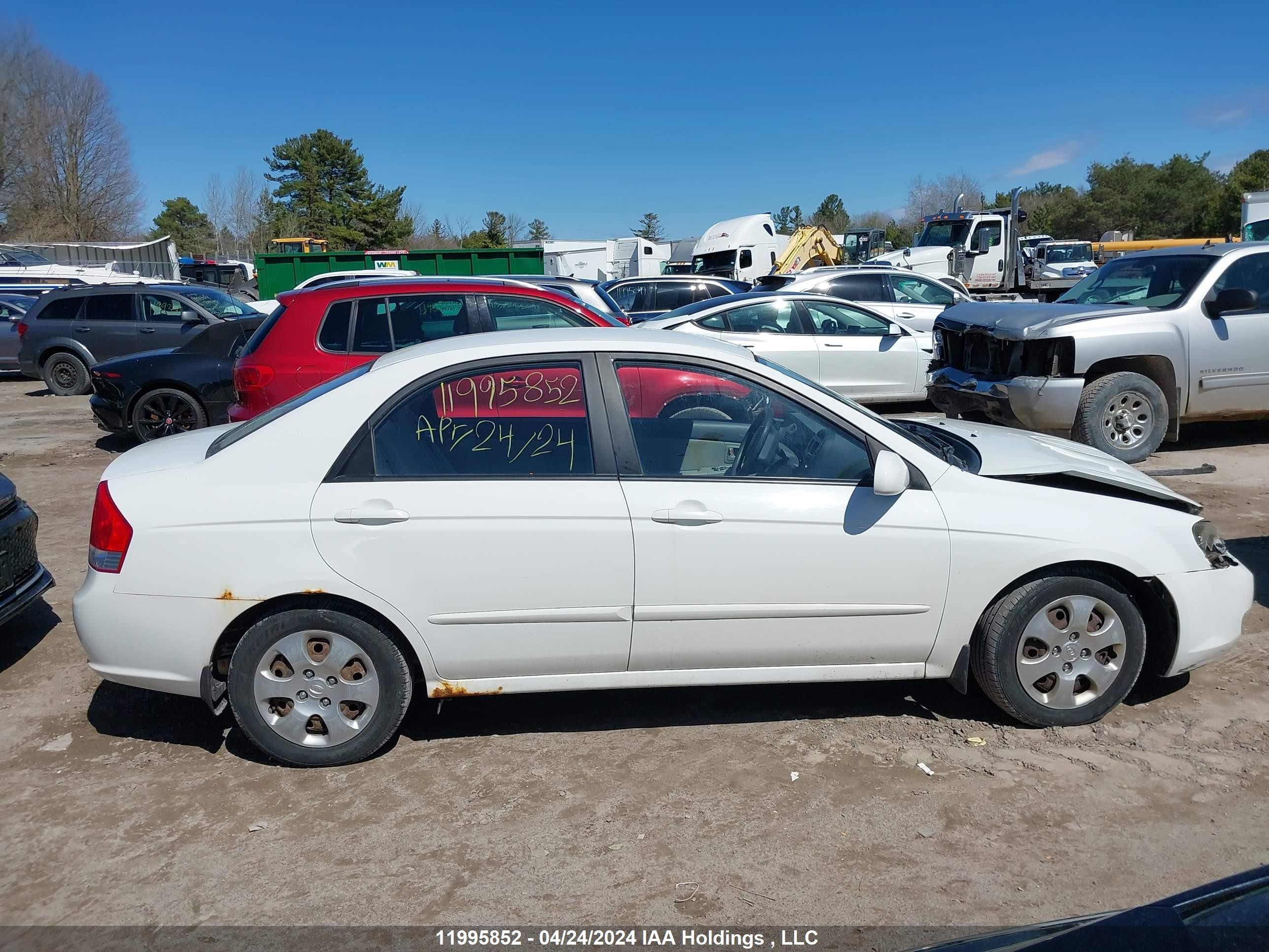 Photo 12 VIN: KNAFE221295639409 - KIA SPECTRA 