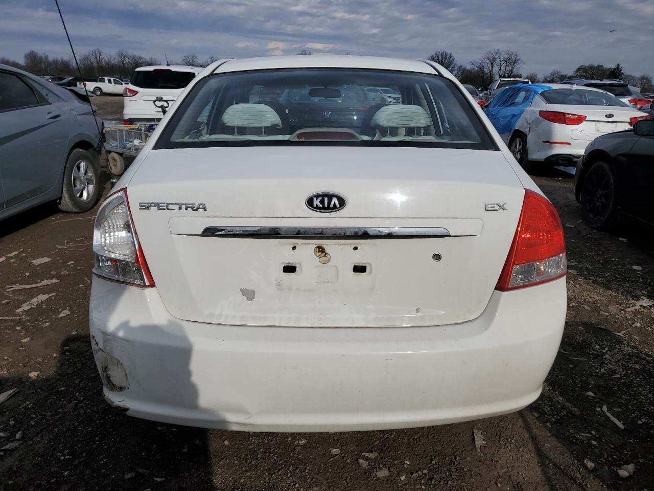 Photo 5 VIN: KNAFE221995625362 - KIA SPECTRA 