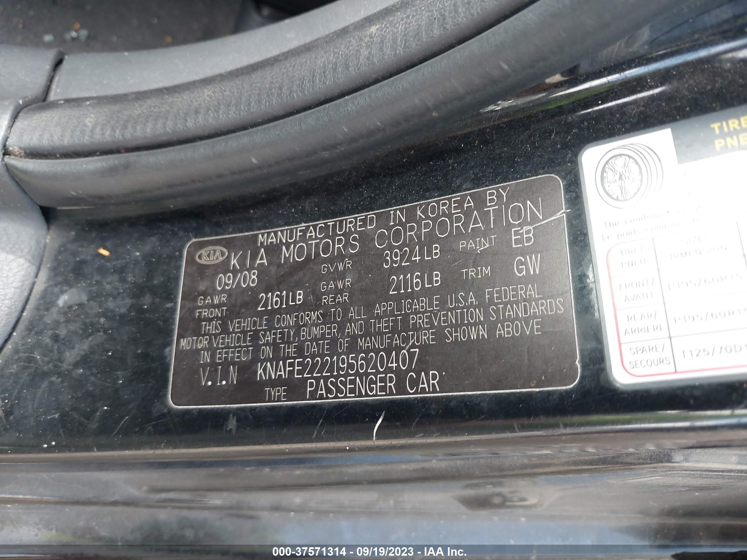 Photo 8 VIN: KNAFE222195620407 - KIA SPECTRA 