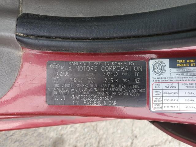 Photo 11 VIN: KNAFE222395667602 - KIA SPECTRA 