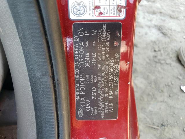 Photo 11 VIN: KNAFE222595660487 - KIA SPECTRA EX 