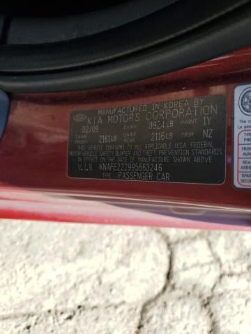 Photo 12 VIN: KNAFE222995663246 - KIA SPECTRA EX 