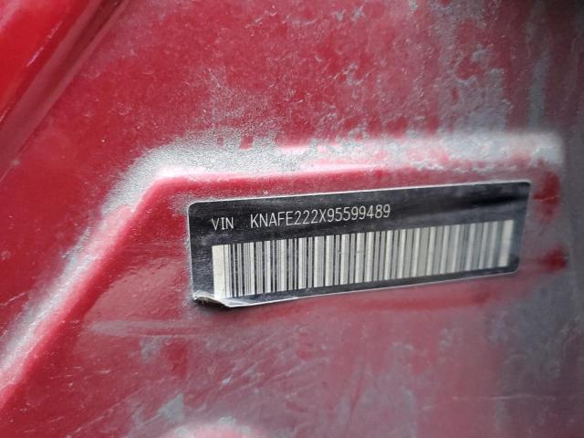 Photo 12 VIN: KNAFE222X95599489 - KIA SPECTRA 