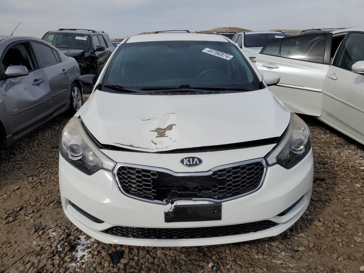 Photo 4 VIN: KNAFK4A60G5562988 - KIA FORTE 