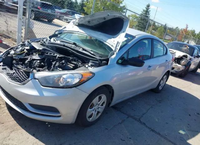 Photo 1 VIN: KNAFK4A60G5576809 - KIA FORTE 