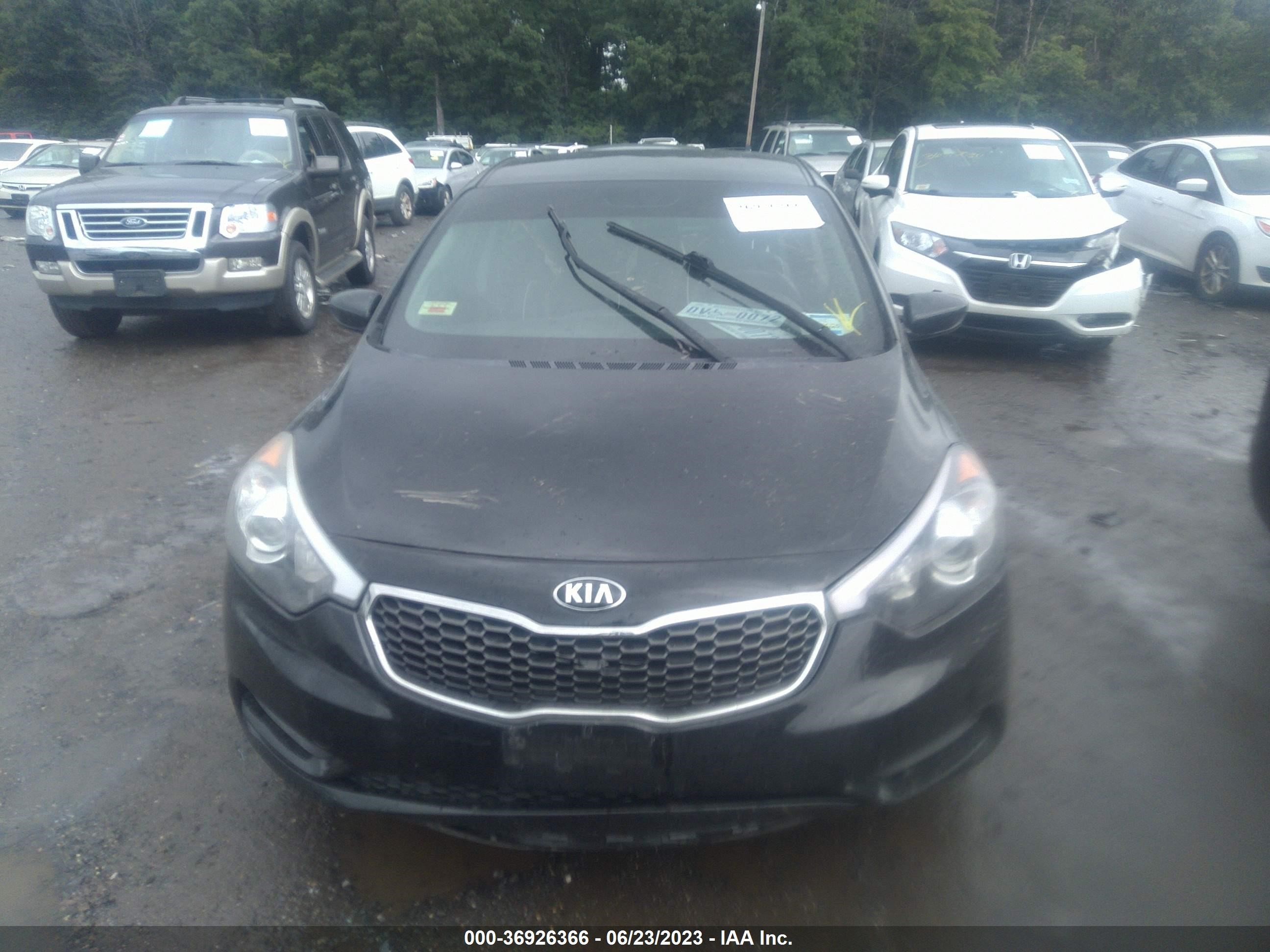 Photo 11 VIN: KNAFK4A61G5485712 - KIA FORTE 