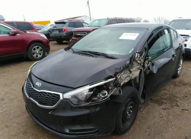 Photo 5 VIN: KNAFK4A61G5565608 - KIA FORTE 