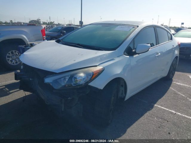 Photo 1 VIN: KNAFK4A61G5595868 - KIA FORTE 