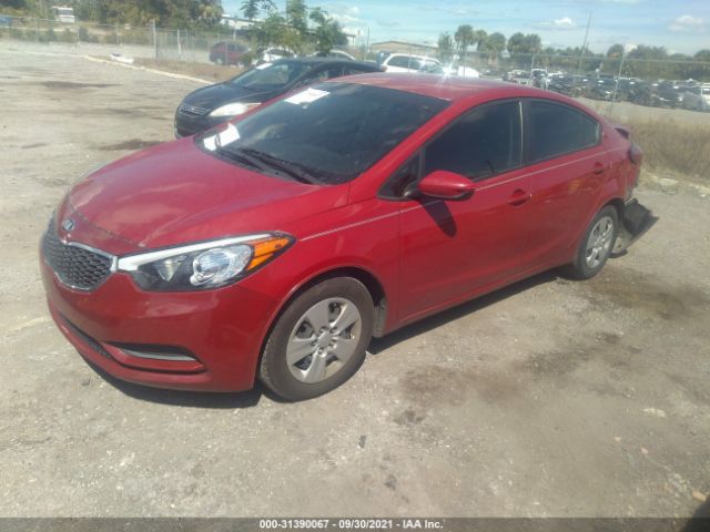 Photo 1 VIN: KNAFK4A61G5612457 - KIA FORTE 