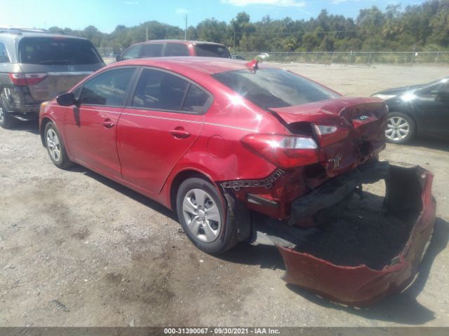 Photo 2 VIN: KNAFK4A61G5612457 - KIA FORTE 