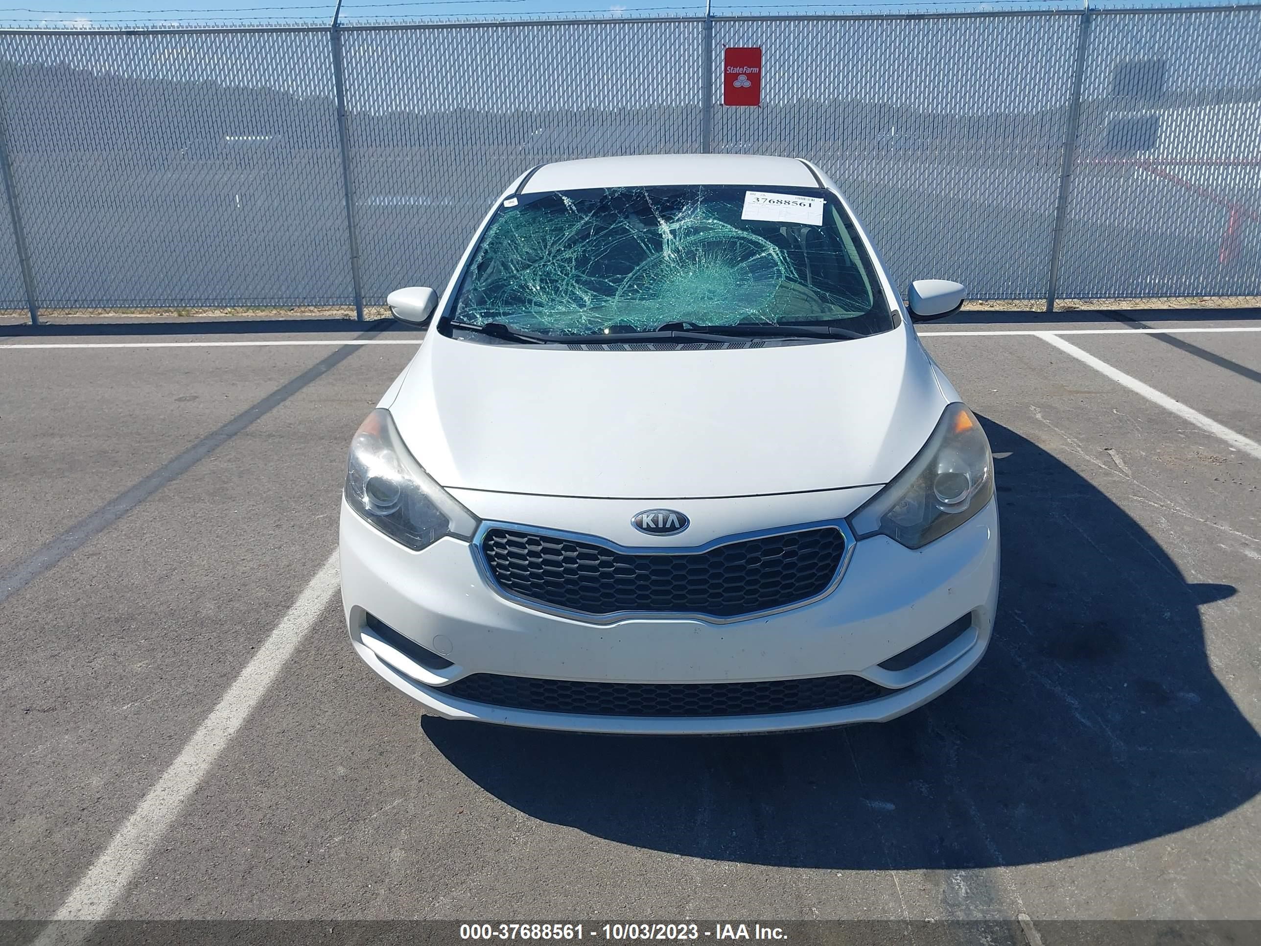 Photo 10 VIN: KNAFK4A62E5072209 - KIA FORTE 