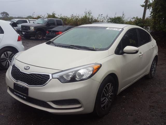 Photo 1 VIN: KNAFK4A62F5259063 - KIA FORTE LX 