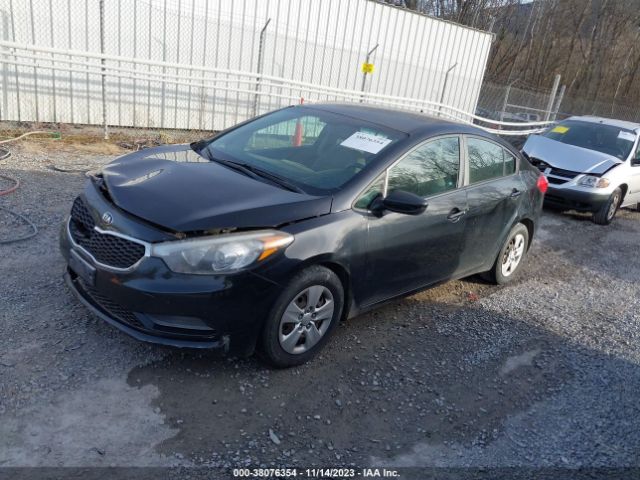 Photo 1 VIN: KNAFK4A62F5317334 - KIA FORTE 