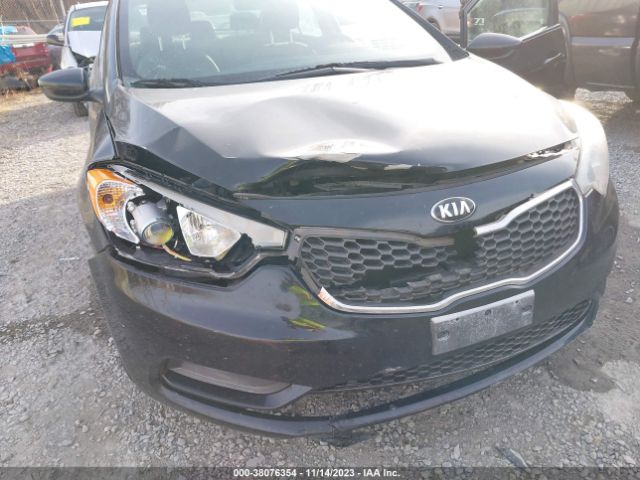 Photo 5 VIN: KNAFK4A62F5317334 - KIA FORTE 