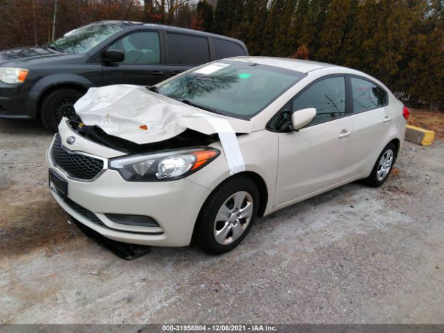 Photo 1 VIN: KNAFK4A62F5337549 - KIA FORTE 