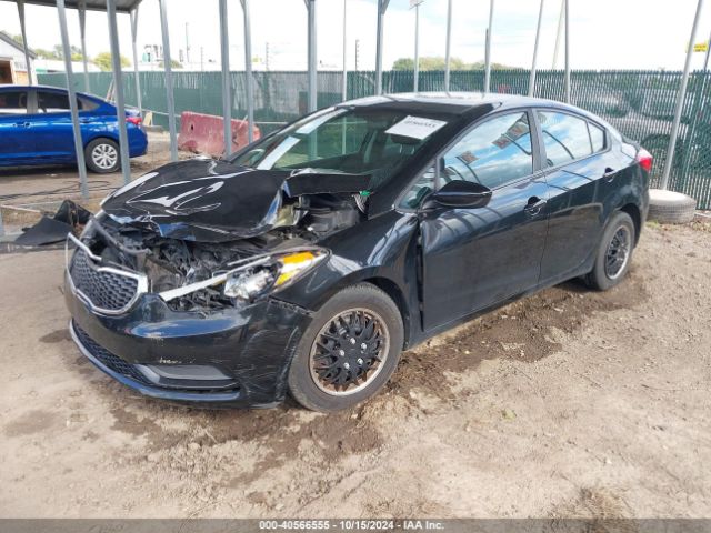 Photo 1 VIN: KNAFK4A62G5507099 - KIA FORTE 