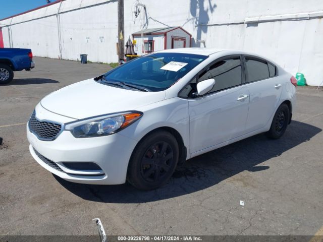 Photo 1 VIN: KNAFK4A62G5507748 - KIA FORTE 