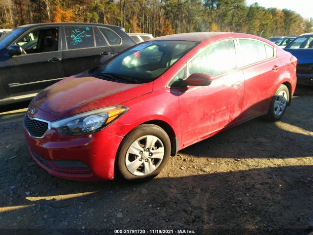 Photo 1 VIN: KNAFK4A62G5542192 - KIA FORTE 