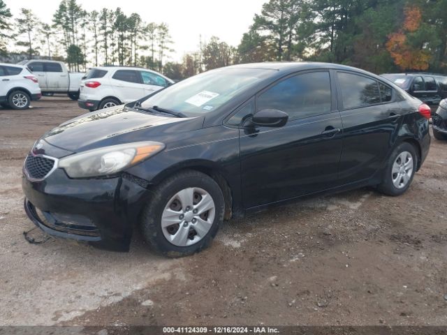 Photo 1 VIN: KNAFK4A62G5542466 - KIA FORTE 