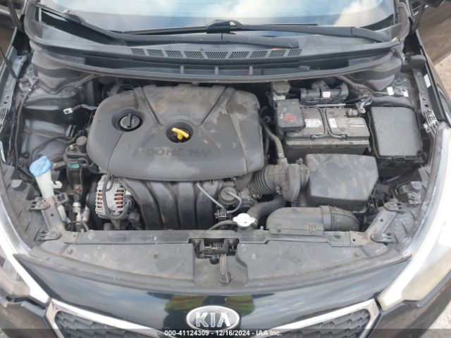 Photo 9 VIN: KNAFK4A62G5542466 - KIA FORTE 