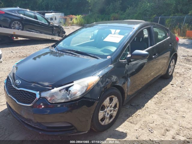 Photo 1 VIN: KNAFK4A62G5542953 - KIA FORTE 