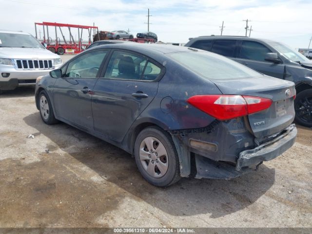 Photo 2 VIN: KNAFK4A62G5608420 - KIA FORTE 