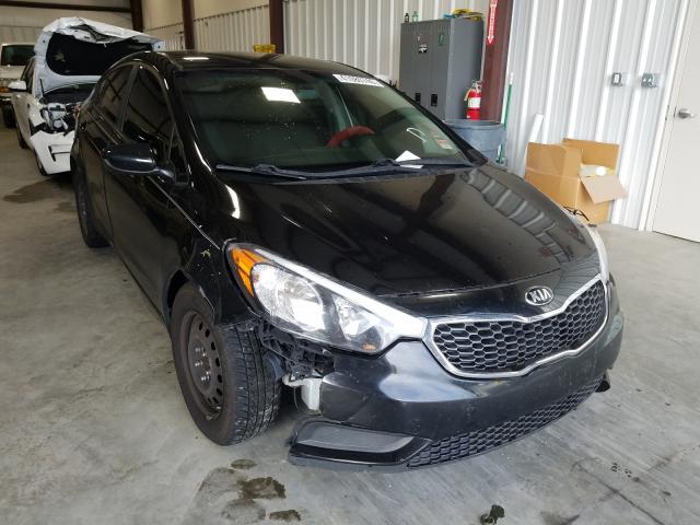 Photo 8 VIN: KNAFK4A62G5615450 - KIA FORTE LX 