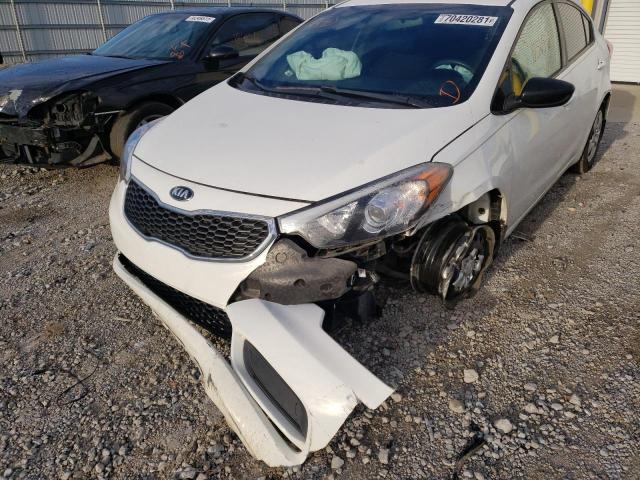 Photo 8 VIN: KNAFK4A62G5619403 - KIA FORTE LX 