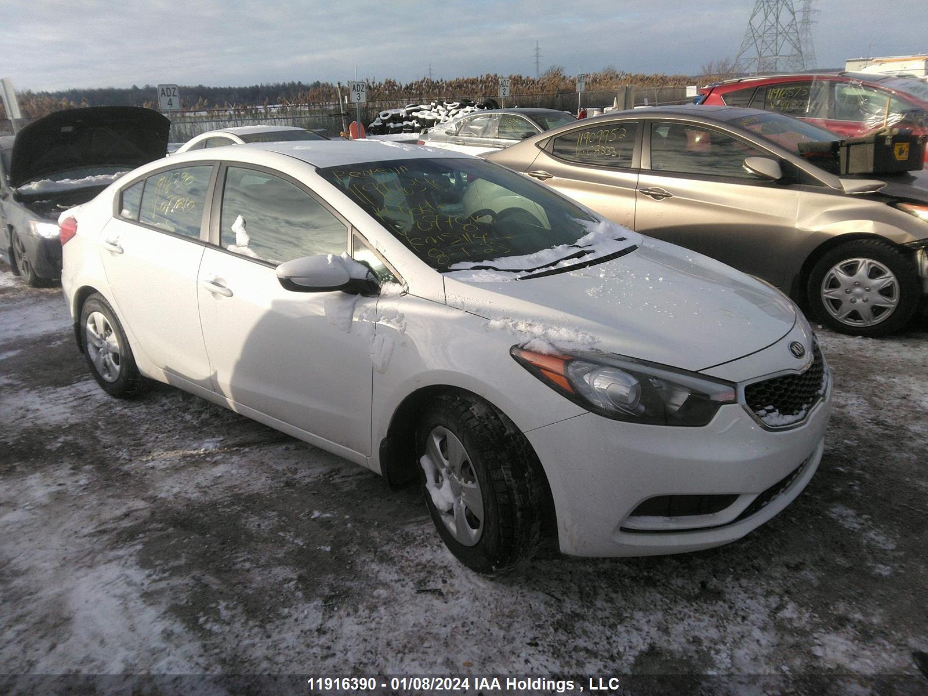 Photo 0 VIN: KNAFK4A63E5077810 - KIA FORTE 